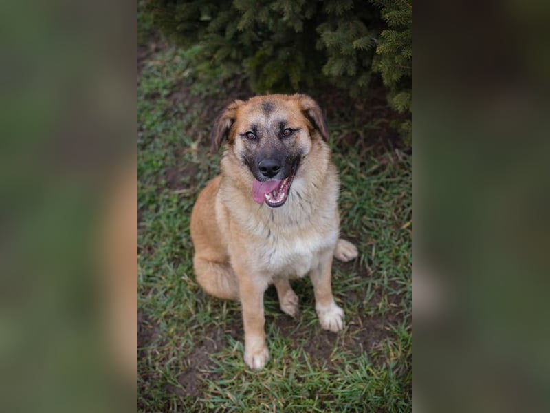 DUNA -  ich möchte so gerne ein Teil deiner Familie sein!