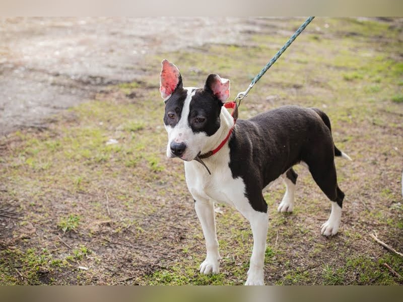 HERA - ich hätte so gerne eine Familie die mich lieb hat...