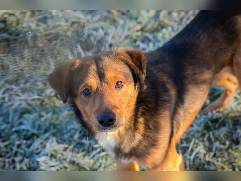 Chip-Nr. 256049 - ich freue mich auf tolle Abenteuer mit meiner Familie!