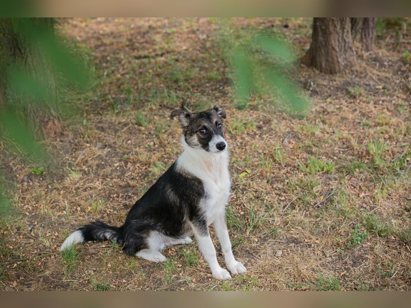 FIZZ - welche liebe Familie zeigt mir die große weite Welt?