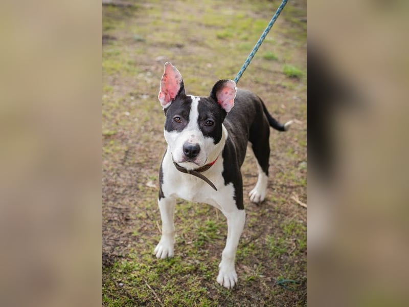 HERA - ich hätte so gerne eine Familie die mich lieb hat...