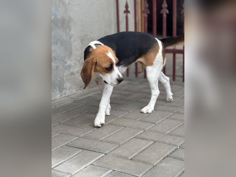 Luna - Ein ganz besonderes Mädchen sucht verständnisvolle Familie