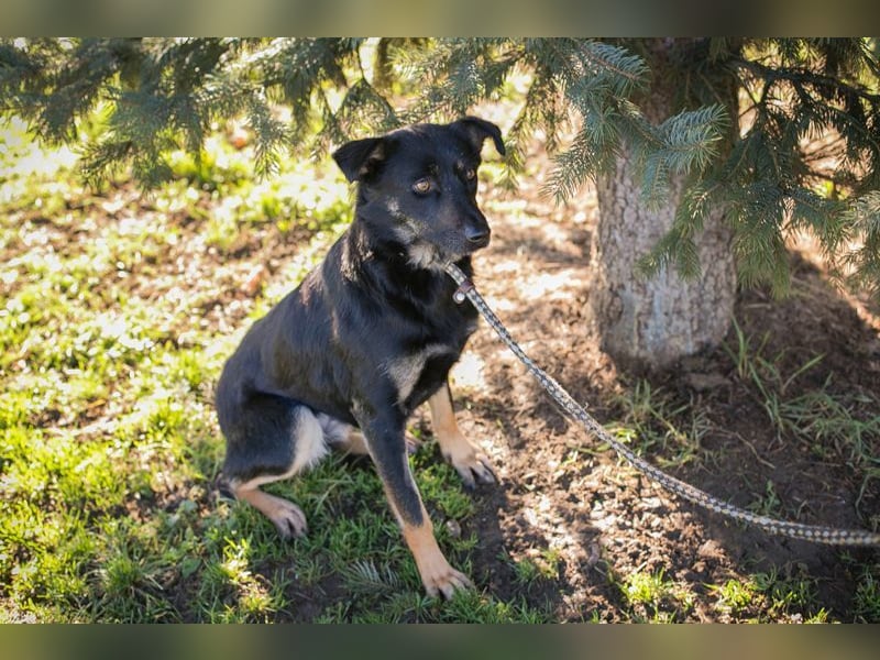 GRACE - ich freue mich auf ein tolles Leben mit meinen Menschen!