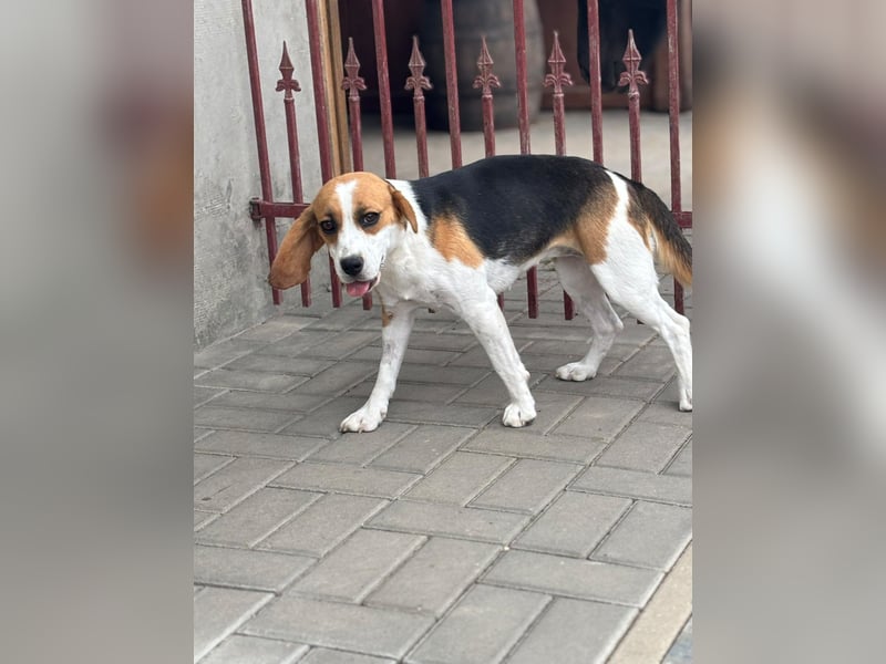 Luna - Ein ganz besonderes Mädchen sucht verständnisvolle Familie