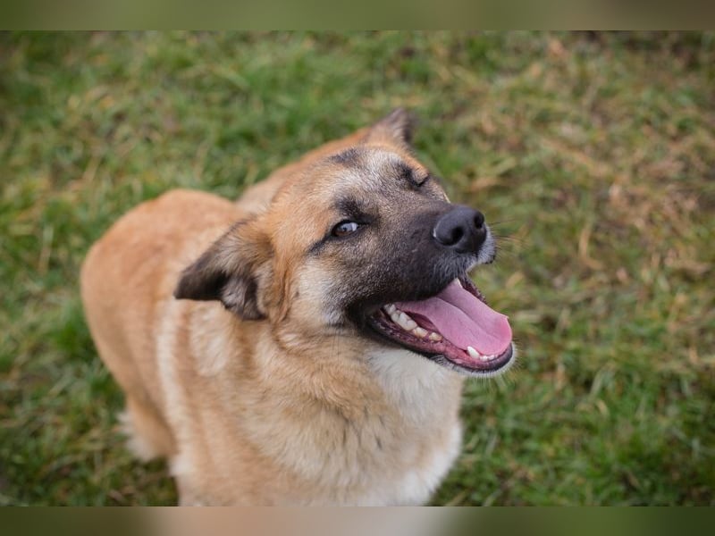 DUNA -  ich möchte so gerne ein Teil deiner Familie sein!