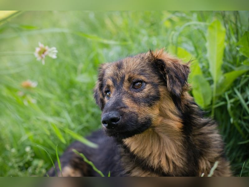 SISSY - in dieses hübsche Mädchen kann man sich doch nur verlieben...