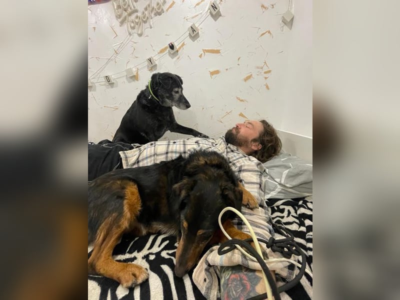 SKIBBY - ich möchte spielen + kuscheln und suche Familienanschluss mit großem Garten