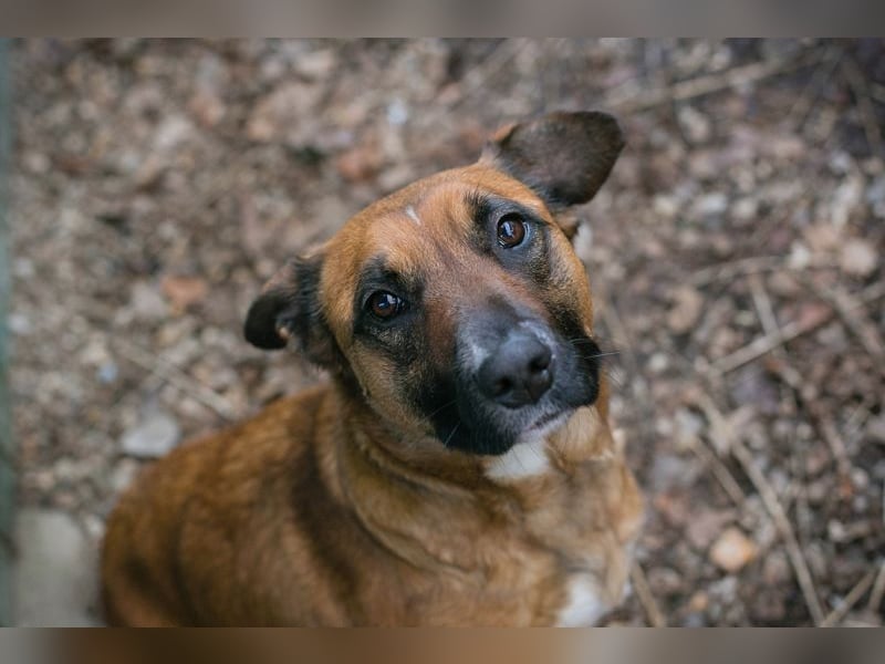 VANILLA - ich freue mich auf ein glückliches Leben bei meiner Familie!