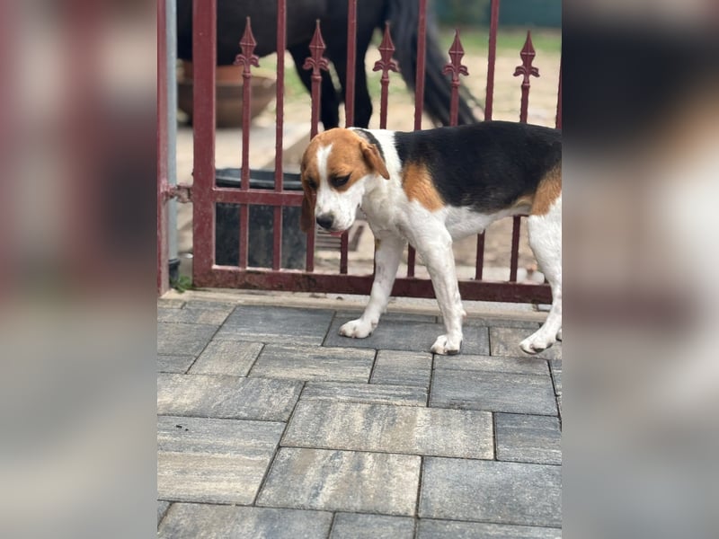 Luna - Ein ganz besonderes Mädchen sucht verständnisvolle Familie