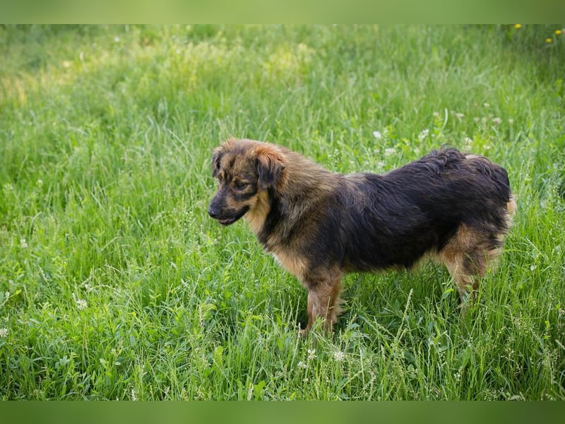 SISSY - in dieses hübsche Mädchen kann man sich doch nur verlieben...