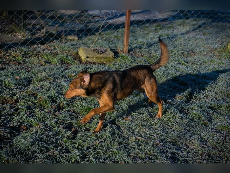 Chip-Nr. 256049 - ich freue mich auf tolle Abenteuer mit meiner Familie!