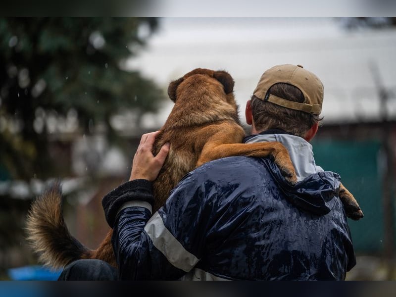 ARCHIE - der aktive, neugierige und verspielte Junghund sucht unternehmungslustige Menschen