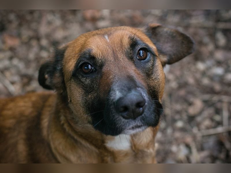 VANILLA - ich freue mich auf ein glückliches Leben bei meiner Familie!