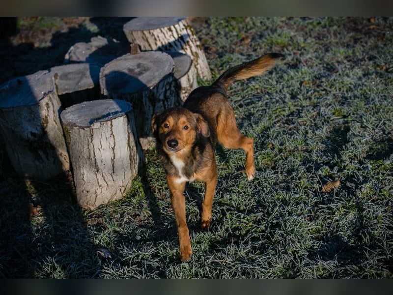 Chip-Nr. 256049 - ich freue mich auf tolle Abenteuer mit meiner Familie!