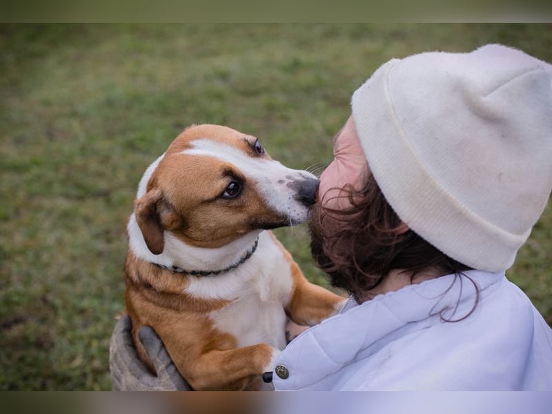 ANITA -  die hübsche Maus träumt von einem tollen Für-Immer Zuhause