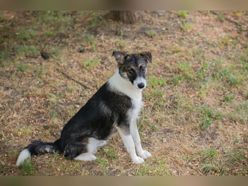 FIZZ - welche liebe Familie zeigt mir die große weite Welt?