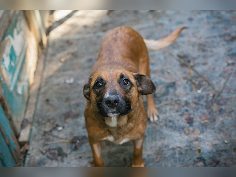 VANILLA - ich freue mich auf ein glückliches Leben bei meiner Familie!