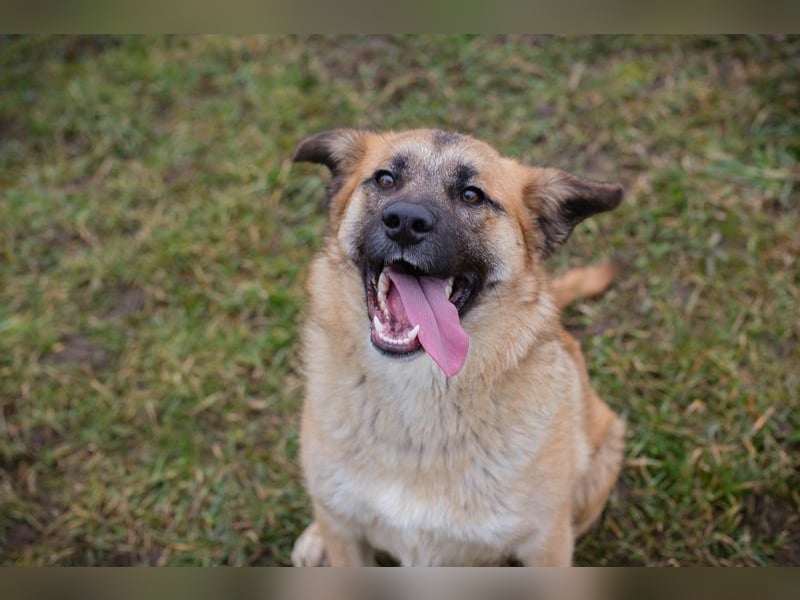 DUNA -  ich möchte so gerne ein Teil deiner Familie sein!