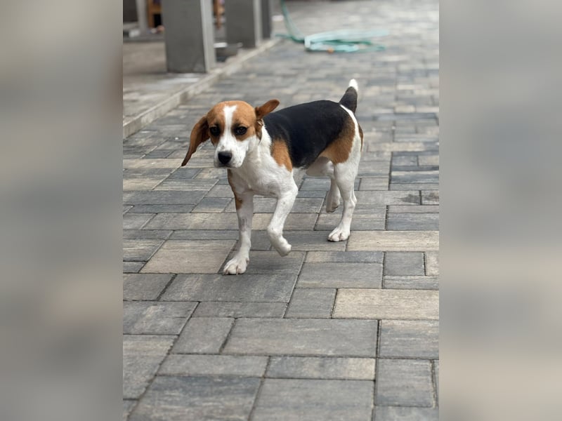 Luna - Ein ganz besonderes Mädchen sucht verständnisvolle Familie