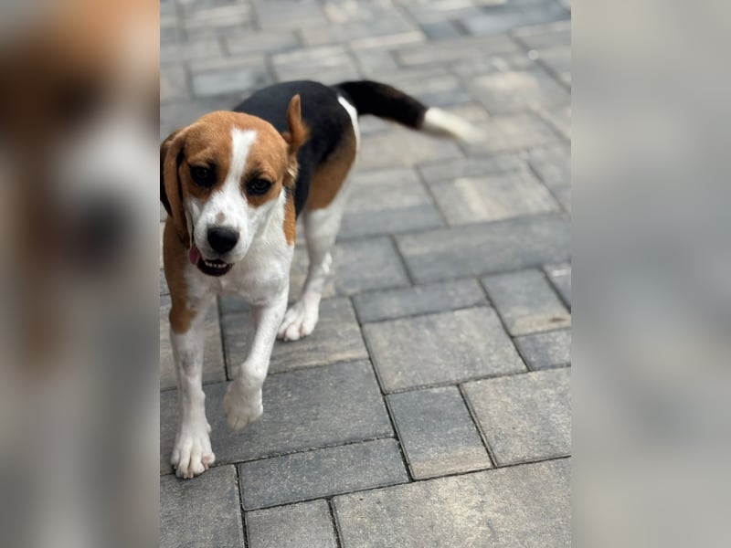 Luna - Ein ganz besonderes Mädchen sucht verständnisvolle Familie