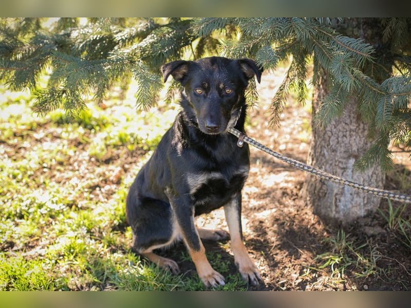 GRACE - ich freue mich auf ein tolles Leben mit meinen Menschen!