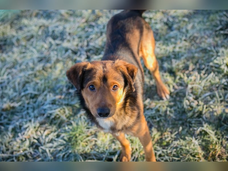 Chip-Nr. 256049 - ich freue mich auf tolle Abenteuer mit meiner Familie!