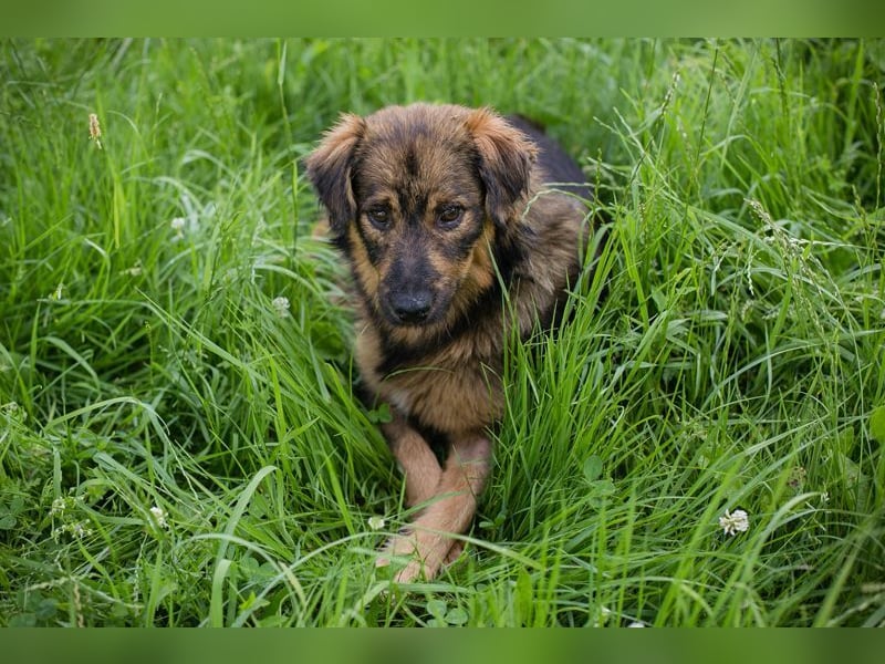 SISSY - in dieses hübsche Mädchen kann man sich doch nur verlieben...