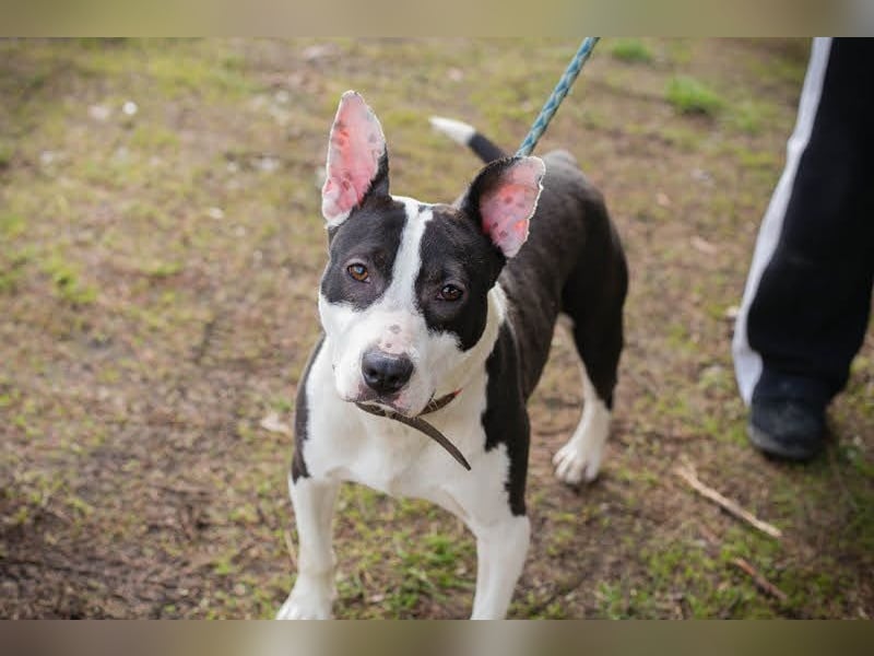 HERA - ich hätte so gerne eine Familie die mich lieb hat...