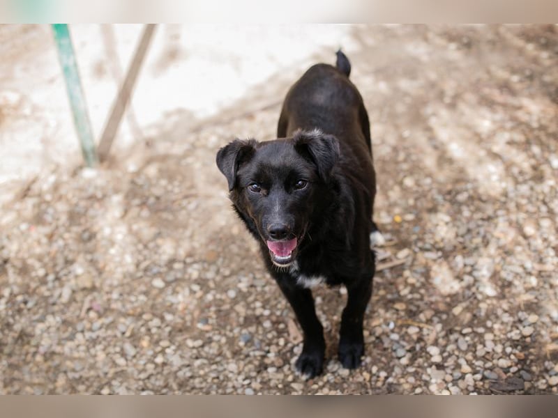 ROY - ich freue mich auf eine aktive Familie die mit mir die Welt entdeckt.