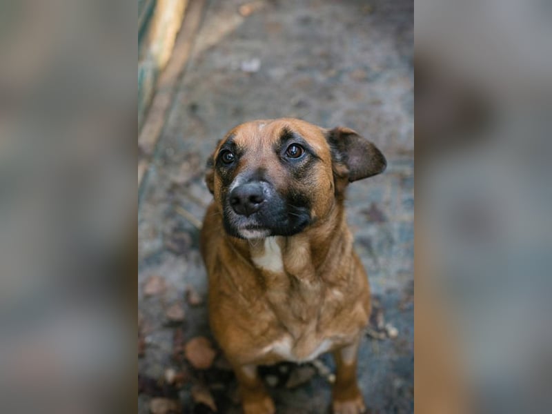 VANILLA - ich freue mich auf ein glückliches Leben bei meiner Familie!