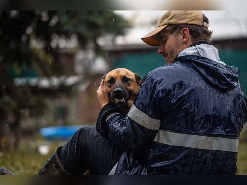 ARCHIE - der aktive, neugierige und verspielte Junghund sucht unternehmungslustige Menschen
