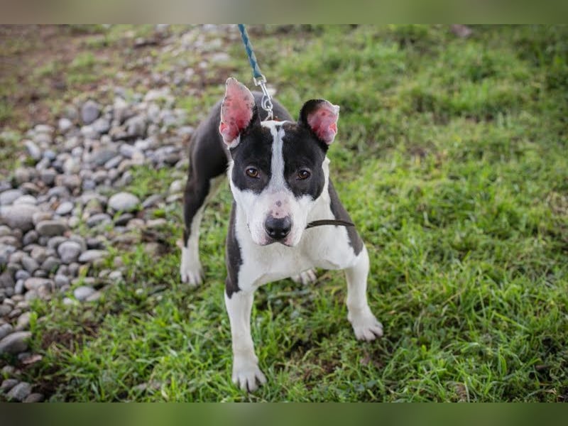 HERA - ich hätte so gerne eine Familie die mich lieb hat...