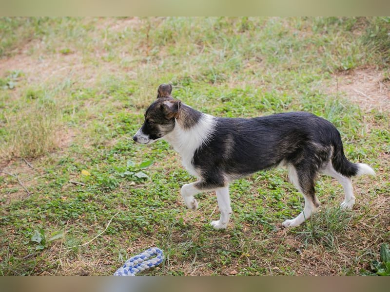 FIZZ - welche liebe Familie zeigt mir die große weite Welt?