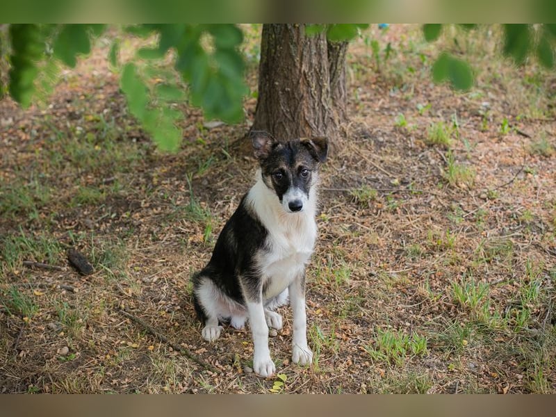 FIZZ - welche liebe Familie zeigt mir die große weite Welt?
