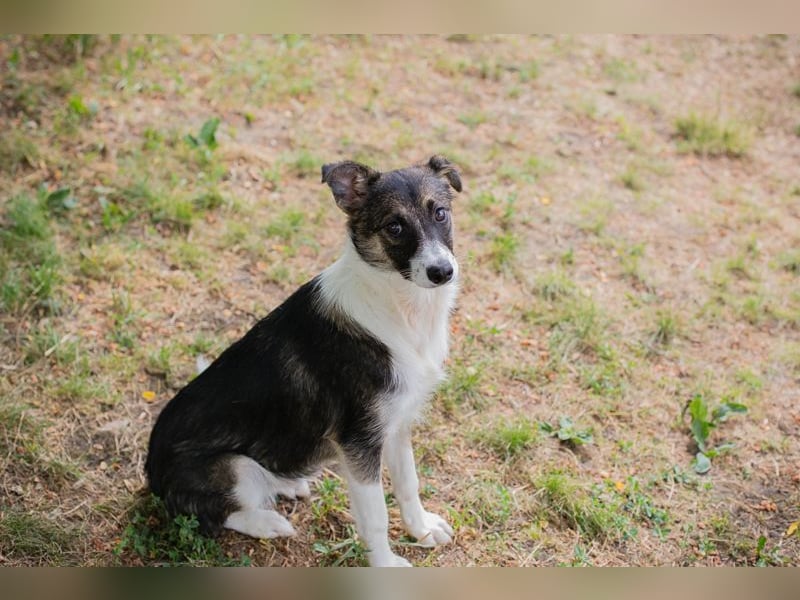 FIZZ - welche liebe Familie zeigt mir die große weite Welt?