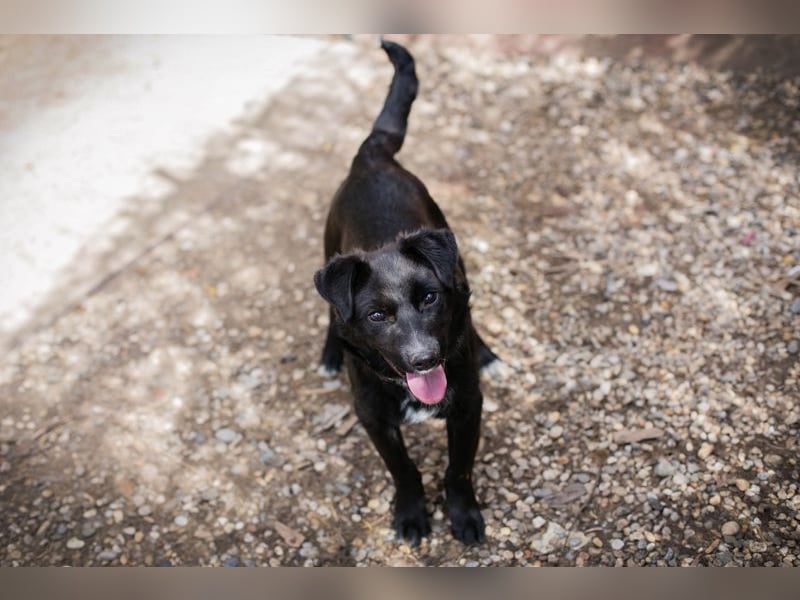 ROY - ich freue mich auf eine aktive Familie die mit mir die Welt entdeckt.