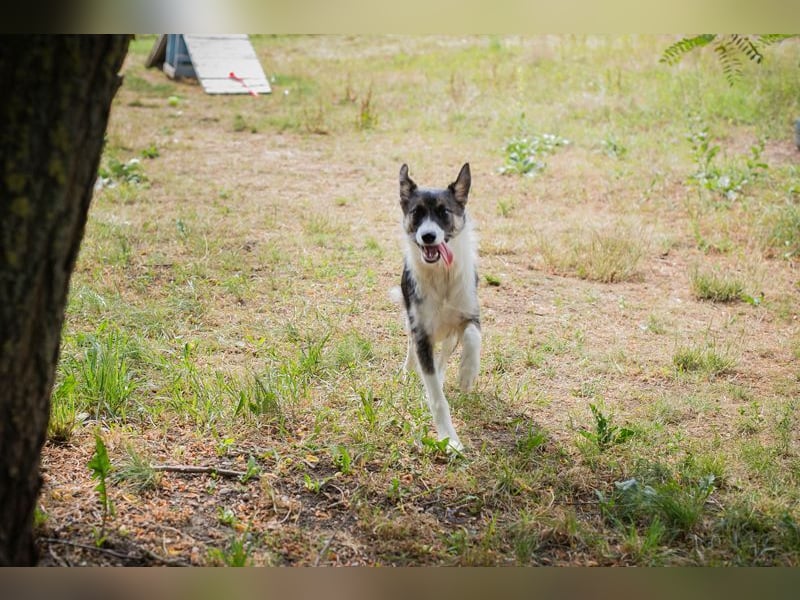 FIZZ - welche liebe Familie zeigt mir die große weite Welt?