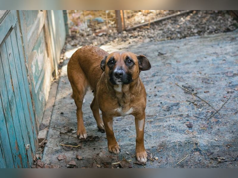 VANILLA - ich freue mich auf ein glückliches Leben bei meiner Familie!