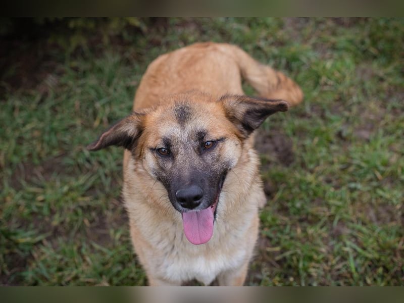 DUNA -  ich möchte so gerne ein Teil deiner Familie sein!