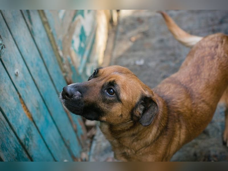 VANILLA - ich freue mich auf ein glückliches Leben bei meiner Familie!