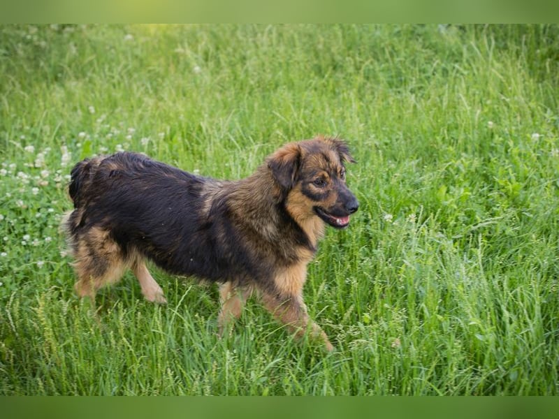 SISSY - in dieses hübsche Mädchen kann man sich doch nur verlieben...