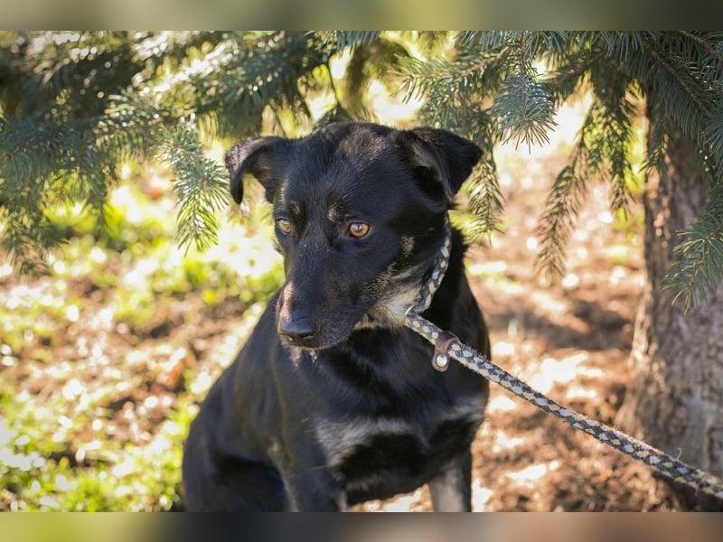 GRACE - ich freue mich auf ein tolles Leben mit meinen Menschen!