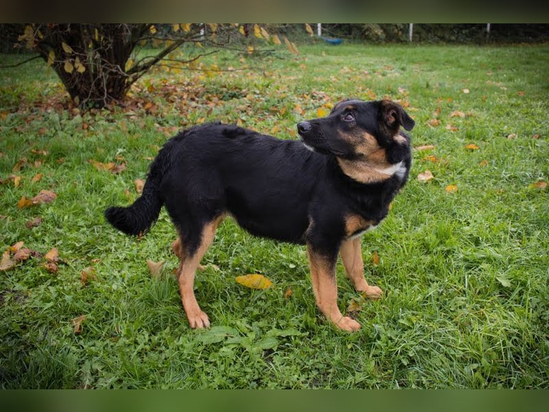 NIA - ich freue mich auf tolle Abenteuer mit meiner Familie!