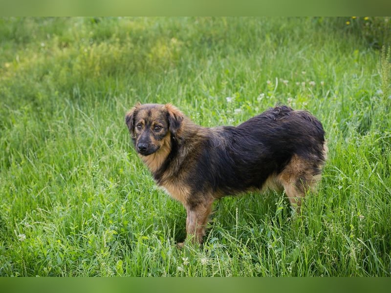 SISSY - in dieses hübsche Mädchen kann man sich doch nur verlieben...