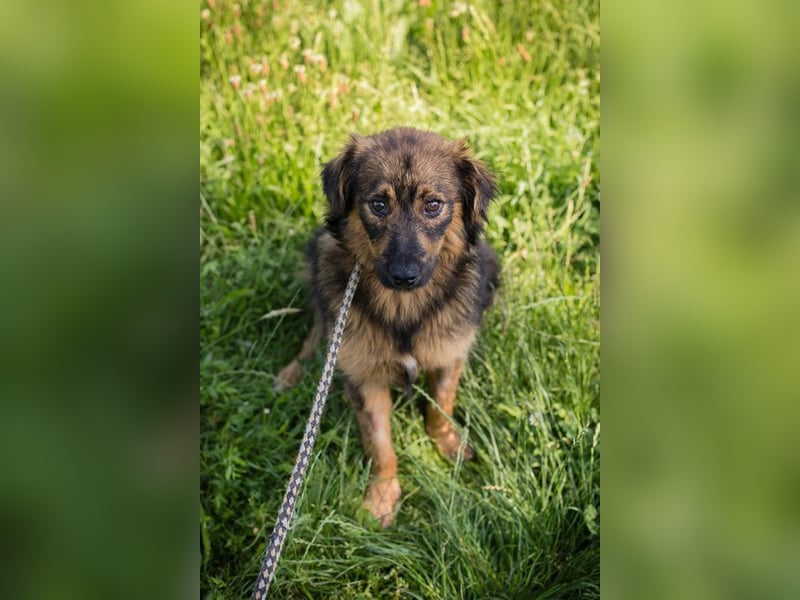 SISSY - in dieses hübsche Mädchen kann man sich doch nur verlieben...