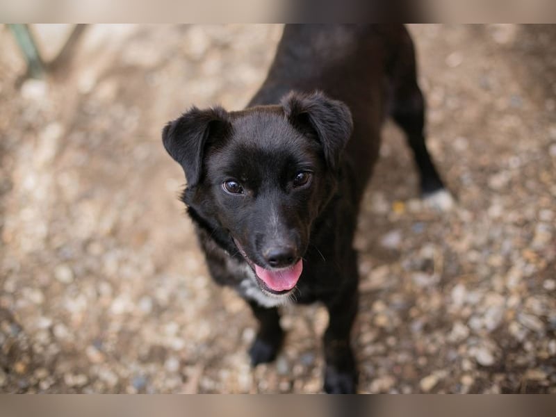 ROY - ich freue mich auf eine aktive Familie die mit mir die Welt entdeckt.