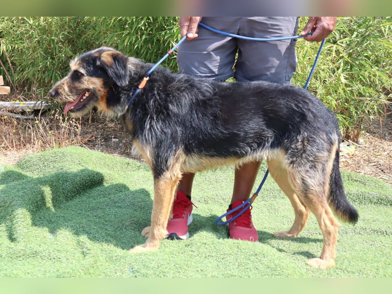 M ❤️ I ❤️ A - sehr gehorsam und sanft ~ aber nicht mehr gewollt