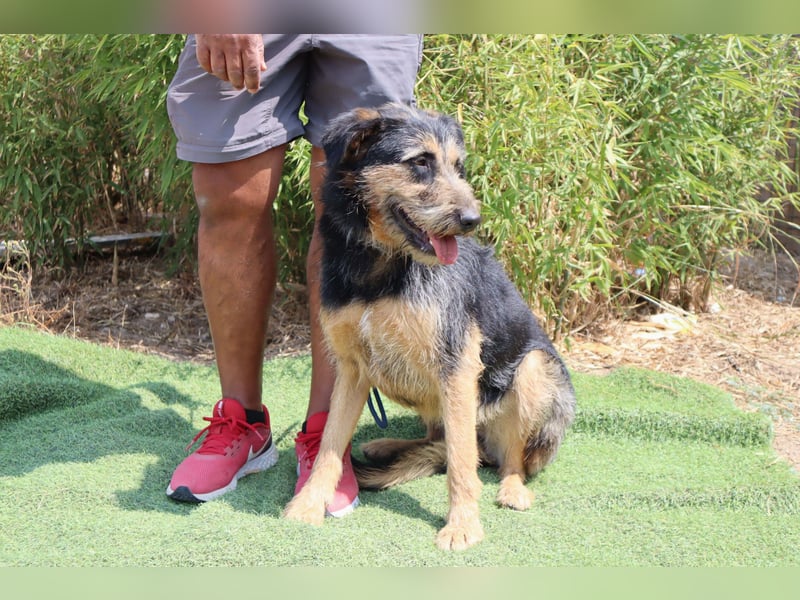 M ❤️ I ❤️ A - sehr gehorsam und sanft ~ aber nicht mehr gewollt