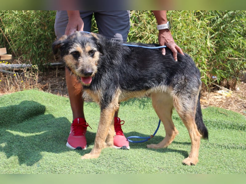 M ❤️ I ❤️ A - sehr gehorsam und sanft ~ aber nicht mehr gewollt