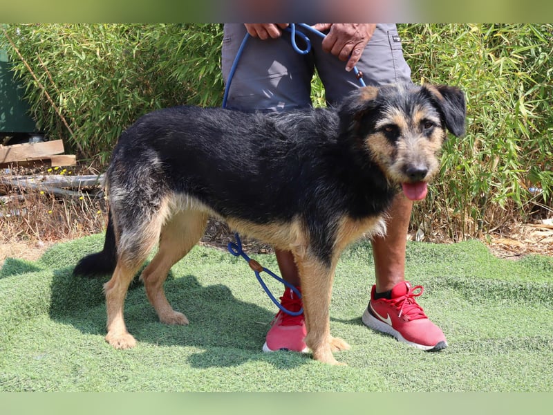 M ❤️ I ❤️ A - sehr gehorsam und sanft ~ aber nicht mehr gewollt